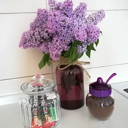 Apartamento Apartman Carolija Bijeljina